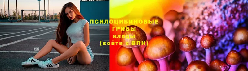 Галлюциногенные грибы прущие грибы  купить   Чишмы 